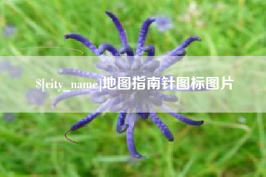 宁津地图指南针图标图片