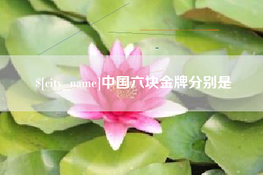 宁津中国六块金牌分别是
