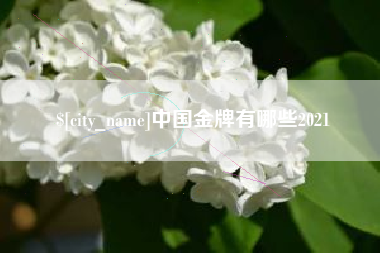 宁津中国金牌有哪些2021