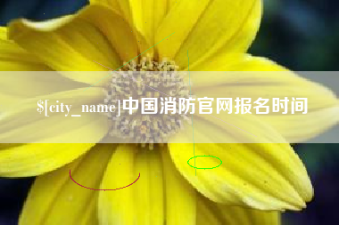 宁津中国消防官网报名时间