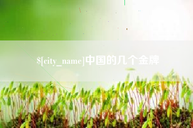 宁津中国的几个金牌