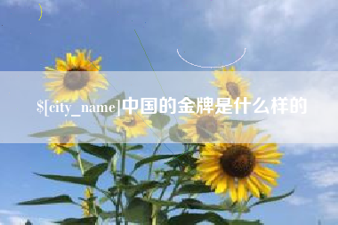 宁津中国的金牌是什么样的