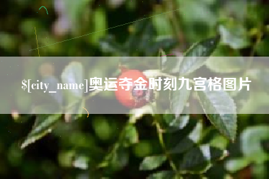 宁津奥运夺金时刻九宫格图片