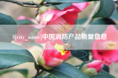 宁津中国消防产品质量信息