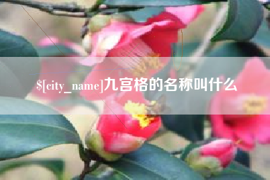 宁津九宫格的名称叫什么