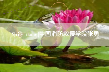 宁津中国消防救援学院张勇