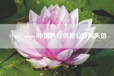 宁津中国执行信息公开网失信