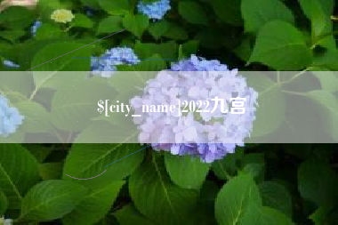 宁津2022九宫