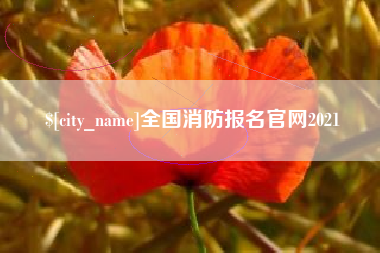 宁津全国消防报名官网2021