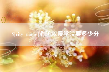 宁津消防救援学院要多少分