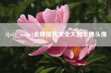 宁津金牌图片大全大图卡通头像