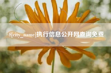宁津执行信息公开网查询免费