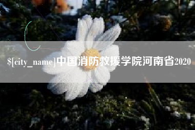 宁津中国消防救援学院河南省2020